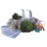 Dinosaur Plant Kit (pack of 12)