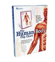 Human Body Flip Chart Book