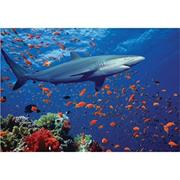 Melissa & Doug� Shark Puzzle