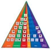 Food Group Pocket Chart