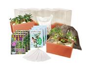 Terrarium Kit (kit of 6)