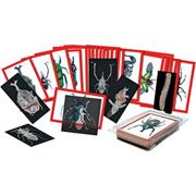 Insect X-Ray and Picture Cards (set of 36)
