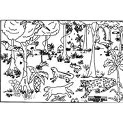 Rainforest Learning Wall�