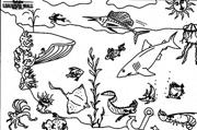 Oceans Learning Wall�