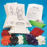 Science Adventures� Get A Grip Kit for 24 (kit of 24)