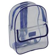 Clear Acrylic Backpack