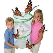 Butterfly Pavilion�