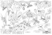 Insects Learning Wall�