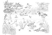 Pond Life Learning Wall�
