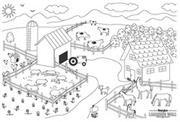 Farm Learning Wall�