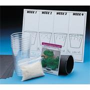 Watch It Grow  (pack of 12)