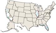 USA Map Collage Board