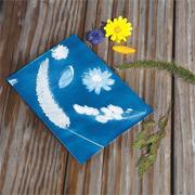 Nature Print� Paper, 8-1/2"x11" (pack of 25)