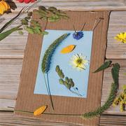 More info about Nature Print® Paper, 5"x7" (pack of 30) Nature Print® Paper, 5"x7" (pack of 30)
