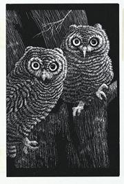 More info about White Scratch-Art® Scratchboard, 8-1/2x11" (pack of 10) White Scratch-Art® Scratchboard, 8-1/2x11" (pack of 10)
