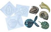 Fossil Molds  (set of 5)