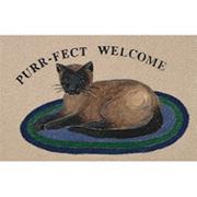 Decorative Mat - Purr--fect Welcome