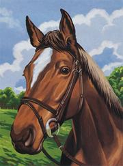 More info about Paint-By-Numbers Set - Horse's Head Paint-By-Numbers Set - Horse's Head