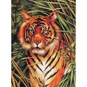 Tiger Paint-by-Number
