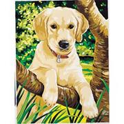 Labrador Retriever Paint-by-Number