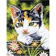 Kitten Paint-by-Number