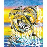 Dolphins Pencil-by-Number