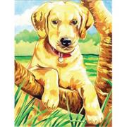 Labrador Retriever Pencil-by-Number