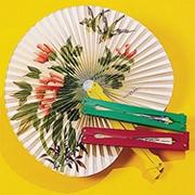 Folding Fan  (pack of 12)