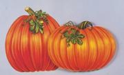 16" Pumpkin Cutouts (pack of 4)