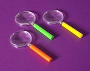 Magnifying Glasses  (pack of 12)
