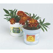 Garden of Eden Craft Kit  (makes 50)