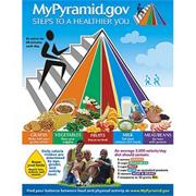 Food Pyramid Learning Chart