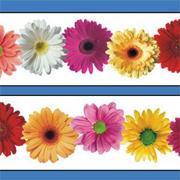 Spring Flowers Border
