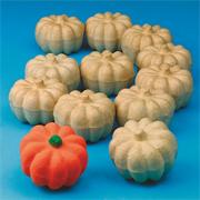 Paper Mache Pumpkin (pack of 12)
