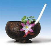 Coconut Cups  (pack of 12)