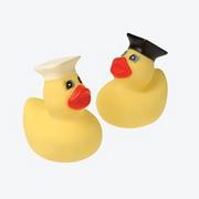 Graduation Ducks (pack of 12)