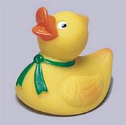Duck Squirts  (pack of 12)