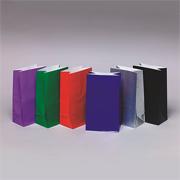 10" Solid Color Paper Gift Bags  (pack of 36)