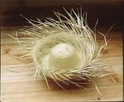 Beachcomber Hat  (pack of 12)