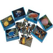 Fish Mini Puzzle Assortment (pack of 12)