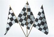 Mini Checker Flag  (pack of 12)