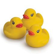 Rubber Duck (pack of 12)