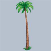 6' Jointed Palm Tree