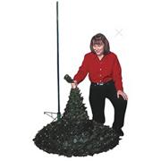 4' Pull-Up Trees with Clear Lights