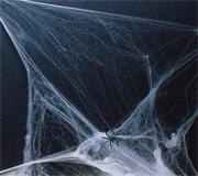 Jumbo Stretching Spider Web (pack of 6)