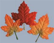 Fall Leaf Assortment  (pack of 12)