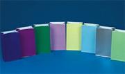 10" Solid Color Paper Gift Bags 