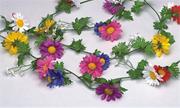 Daisy Garland
