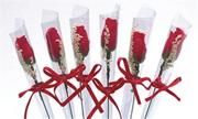 Mini Roses  (pack of 12)