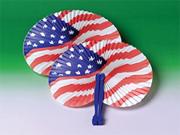 USA Fans  (pack of 12)